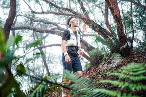 BIB: 
                            <button type="button" onclick="openModal(26295354)" class="btn btn-primary btn-sm float-right btn-popup" data-toggle="modal" data-target=".modal-high-quality">
                        <i class="fas fa-shopping-cart"></i> Add to Cart
                    </button>
                                            <button type="button" onclick="isThisMe(26295354, true)" class="btn btn-success btn-sm float-right btn-popup btn-isme hidden" data-toggle="tooltip" data-placement="bottom" title="นี่คือรูปของคุณใช่ไหม คลิกที่นี่เพื่อเอาเข้าอัลบั้ม">
                        <i class="fas fa-plus"></i> Add to album
                    </button>
                    <button type="button" onclick="isThisMe(26295354, false)" class="btn btn-warning btn-sm float-right btn-popup btn-isnotme hidden">
                        <i class="fas fa-ban"></i> Remove from album
                    </button>